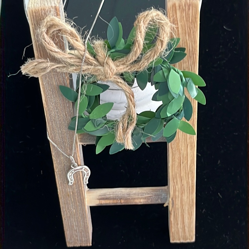 Good Luck Horseshoe Charm 925 Sterling Silver Chain Necklace.